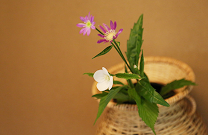 茶懐石料理イメージ